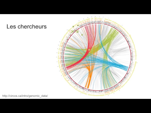 Université de Montréal: Introduction to Data Visualization