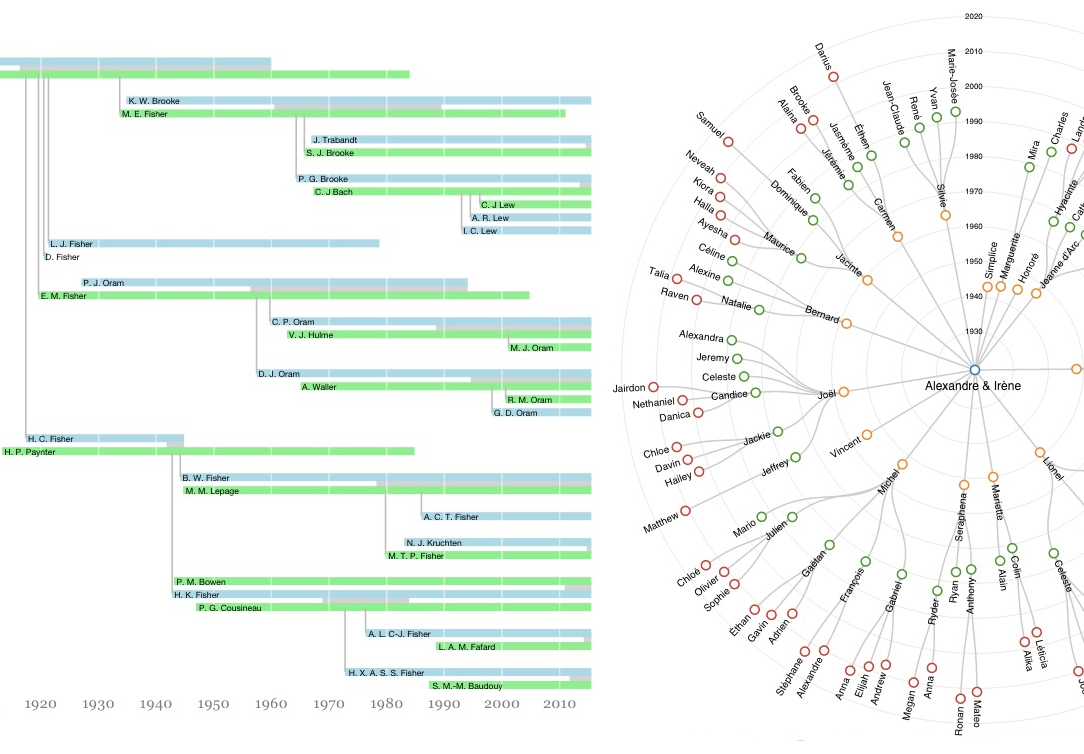 Visualizing Family Trees